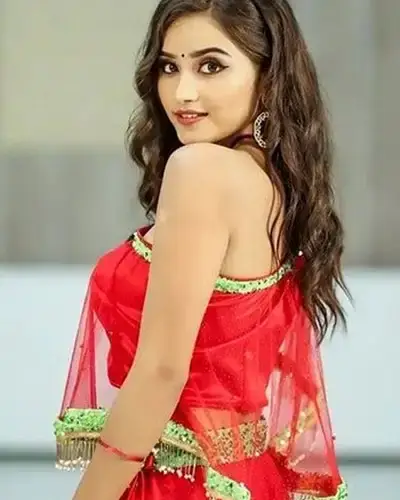 Call Girls Service Laxmangarh